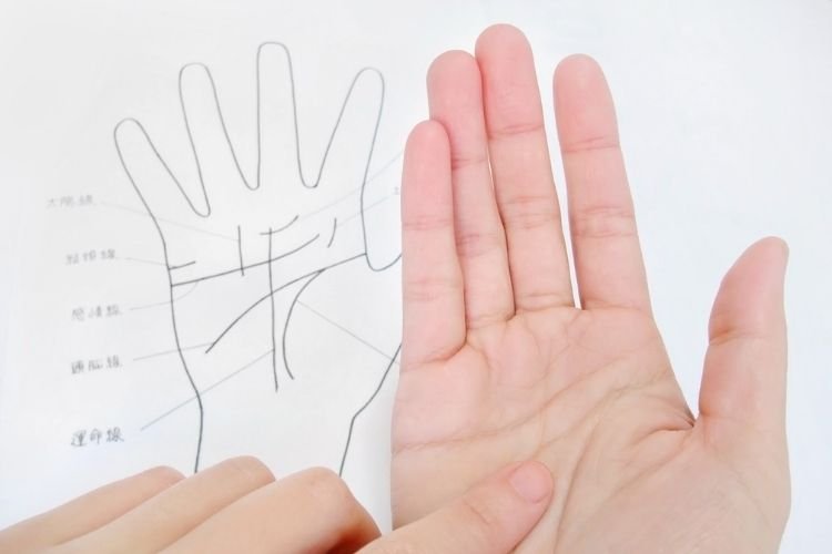 Palmistry — Hasta Samudrika – Pandit PN Rao Shastri Hyderabad